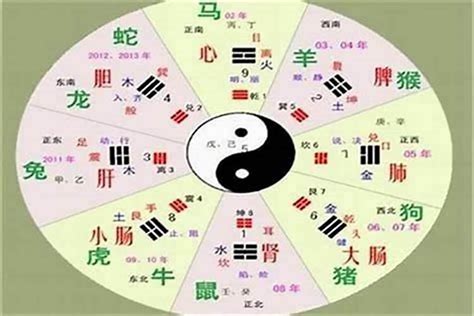 全字五行|汉字五行属性查询